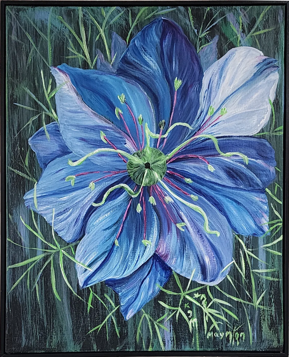 Love in a Mist by Dr. Kenneth G. Mills