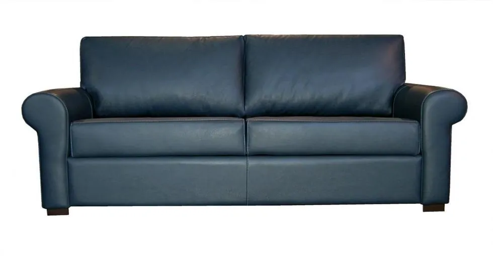 Moore sleeper sofa