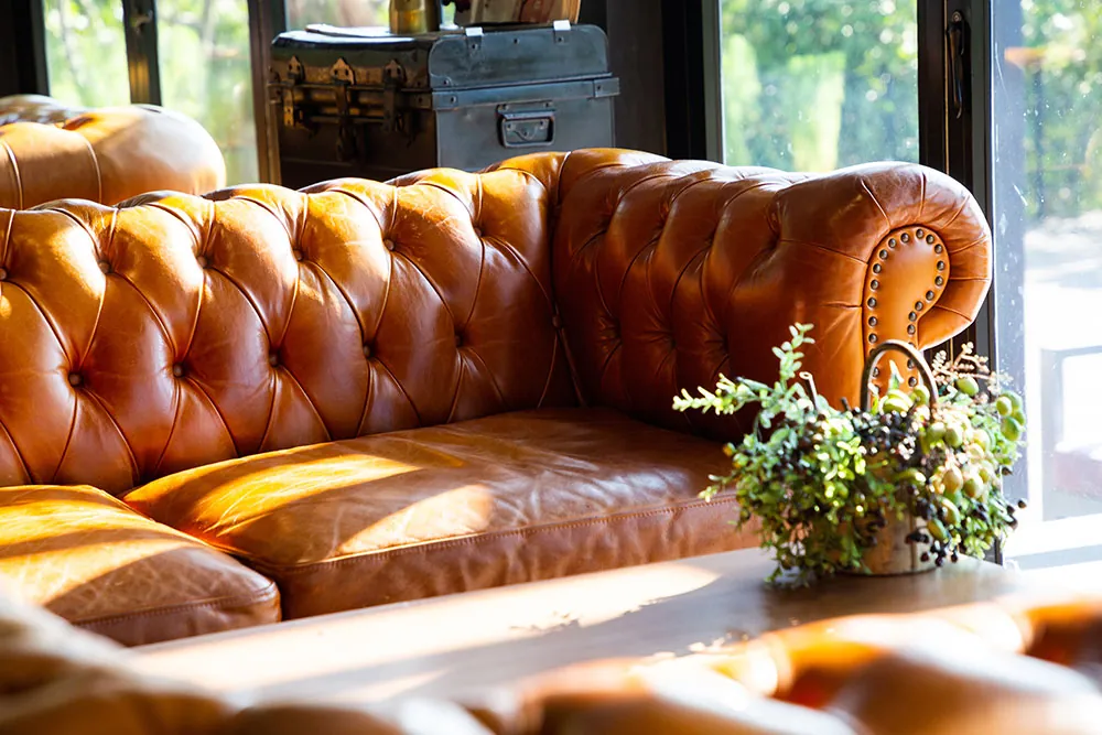 A tufted cognac leather sofa in afternoon light